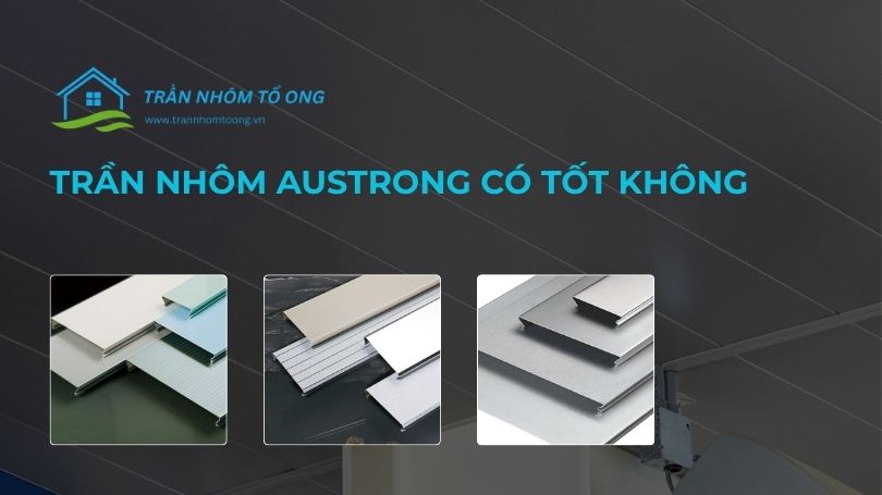 trần nhôm austrong