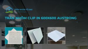 trần nhôm clip in 600x600 austrong
