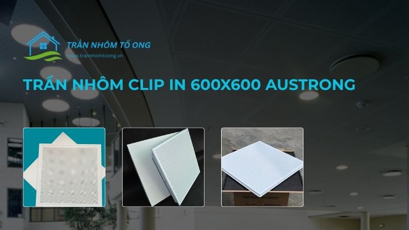 trần nhôm clip in 600x600 austrong