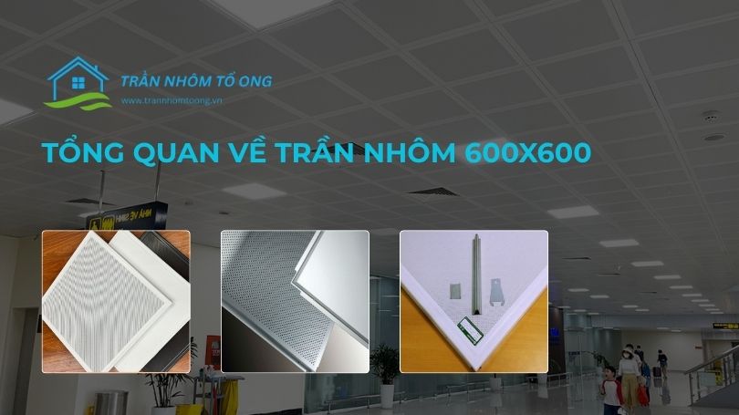 Trần Nhôm 600x600